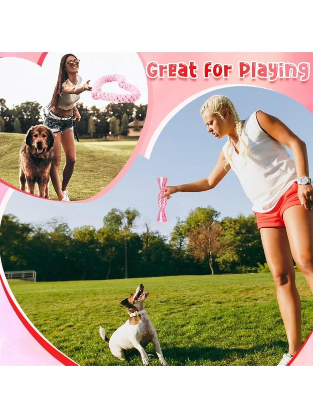 25 Pcs Valentine's Dog Toy Set - Squeaky Balls, Plush Bones & Rope Toys for